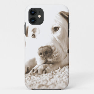 Capa Para iPhone 11 pitbull branco amigável sonolento ódio feito não r