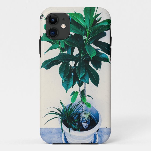 Capa Para iPhone 11 Planta de Jatropha em Verde Natural (Verso)