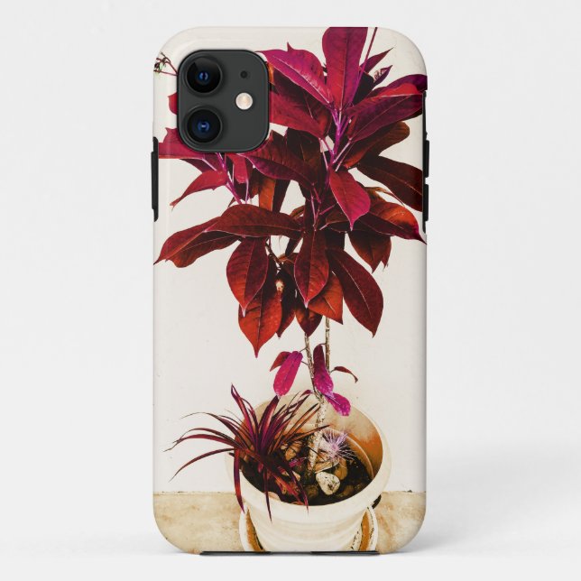 Capa Para iPhone 11 Planta de Jatropha em Vermelho Profundo (Verso)