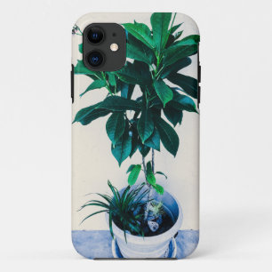 Capa Para iPhone 11 Planta Jatropha em Verde Natural
