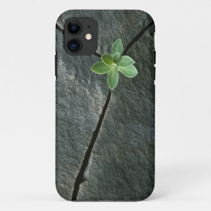 Capa Para iPhone 11 Planta que cresce em Boulder rachado