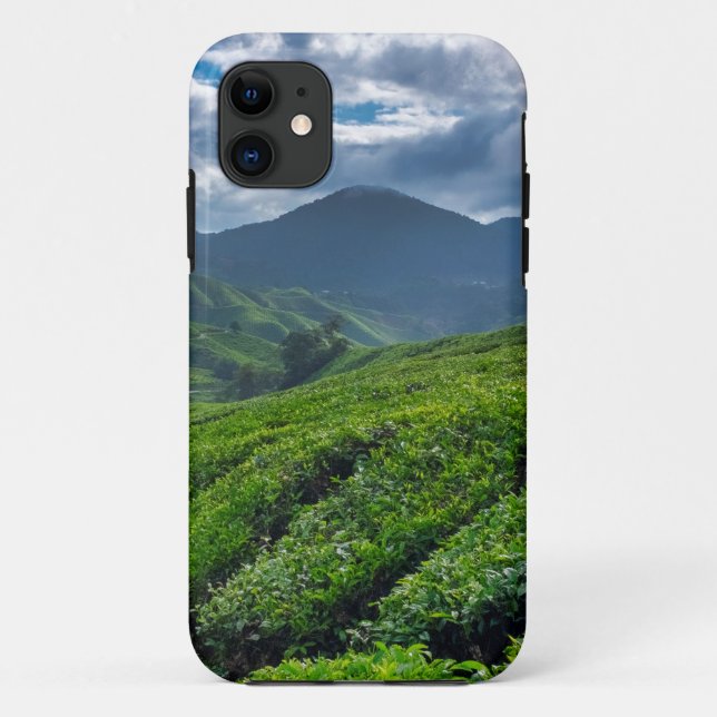 Capa Para iPhone 11 Plantação de Chá de Cameron Highlands (Verso)