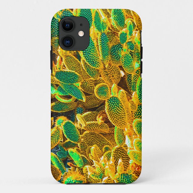 Capa Para iPhone 11 Plantas De Cactus No Deserto De África, Em Pera Rá (Verso)