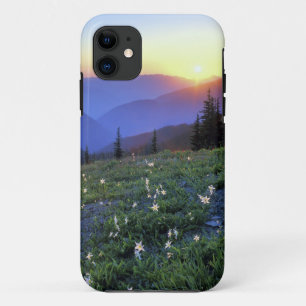 Capa Para iPhone 11 Pôr do sol no Obstruciton Point, Parque Nacional O