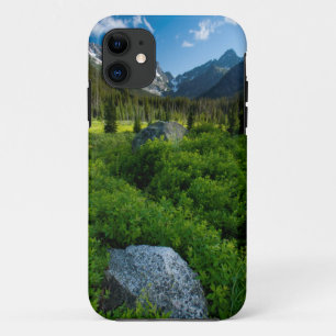 Capa Para iPhone 11 Prado e Mt. Stuart