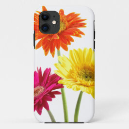 Capa Para iPhone 11 Prazer da margarida do Gerbera