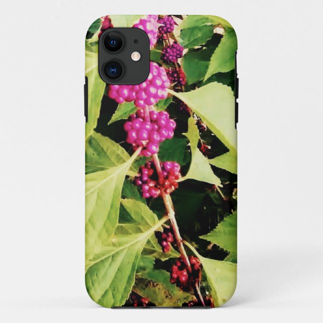 Capa Para iPhone 11 Primavera (Verso)