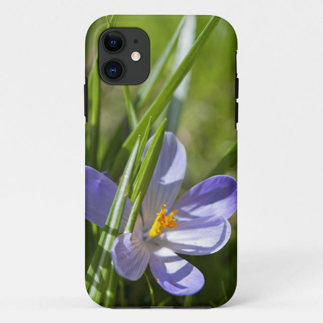 Capa Para iPhone 11 Primavera (Verso)