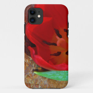Capa Para iPhone 11 Primavera amarelo e Red Tulip