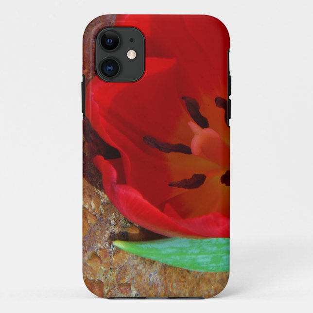 Capa Para iPhone 11 Primavera amarelo e Red Tulip (Verso)