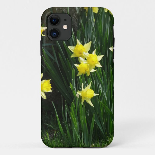 Capa Para iPhone 11 Primavera Daffodils (Verso)