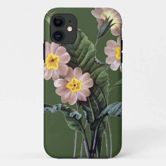 Capa Para iPhone 11 Prímula (Primula Aucalis) (Verso)