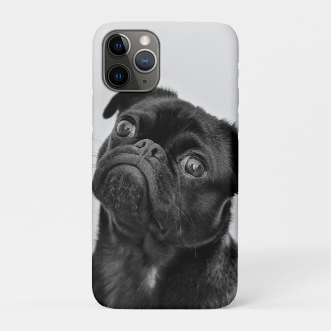 Capa Para iPhone 11 Pro Adicione o seu próprio Viagem de fotografia do cão (Verso)