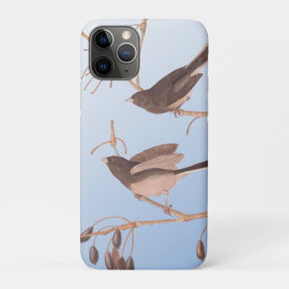 Capa Para iPhone 11 Pro Aves de neve em uma ramificação de inverno nu