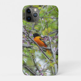 Capa Para iPhone 11 Pro Baltimore Oriole