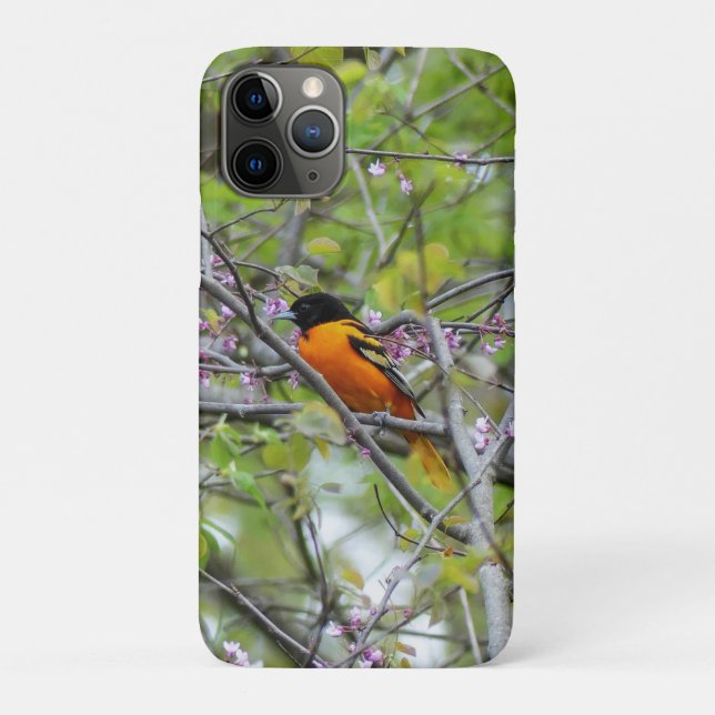 Capa Para iPhone 11 Pro Baltimore Oriole (Verso)