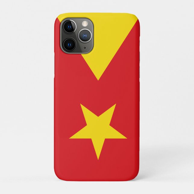 Capa Para iPhone 11 Pro Bandeira da região de Tigray (Verso)