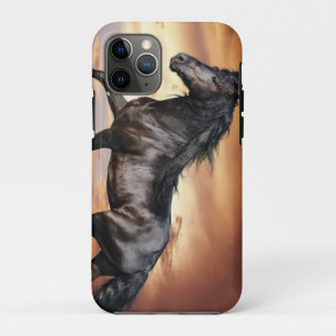 Capa Para iPhone 11 Pro Belo Cavalo Negro