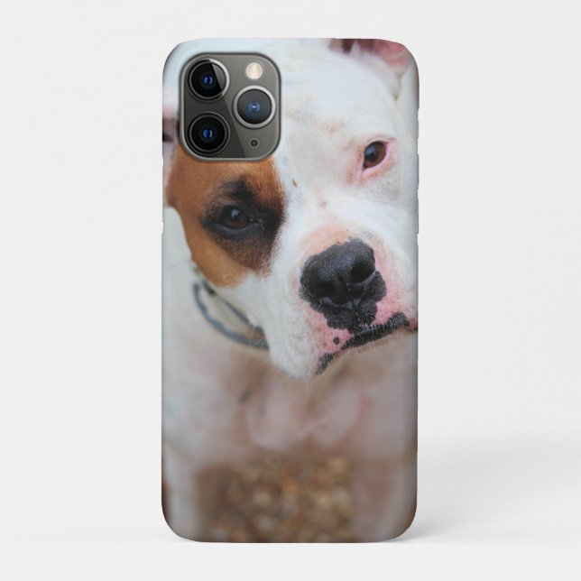 Capa Para iPhone 11 Pro Boop (Verso)