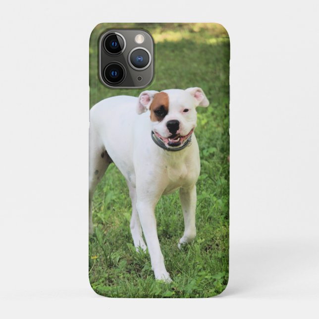Capa Para iPhone 11 Pro Boxer (Verso)