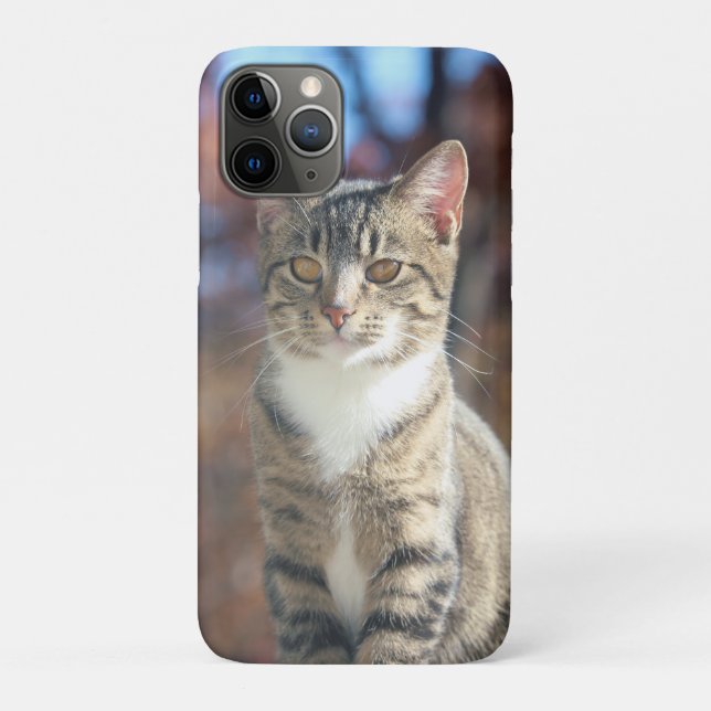 Capa Para iPhone 11 Pro Brin (Verso)