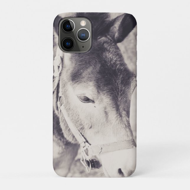 Capa Para iPhone 11 Pro Cabeça de Donkey 001 (Verso)
