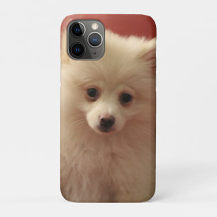 Capa Para iPhone 11 Pro Cachorro Pomerano