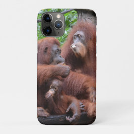 Capa Para iPhone 11 Pro Café da manhã com o Zoológico Orangutans de Singap