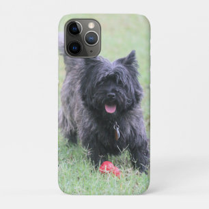 Capa Para iPhone 11 Pro Cairn