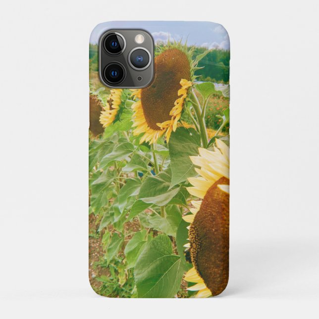 Capa Para iPhone 11 Pro Campos de girassol (Verso)