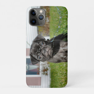 Capa Para iPhone 11 Pro Cãozinho preto