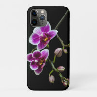 Cor branca rosa-orquídea em preto pálido e suave