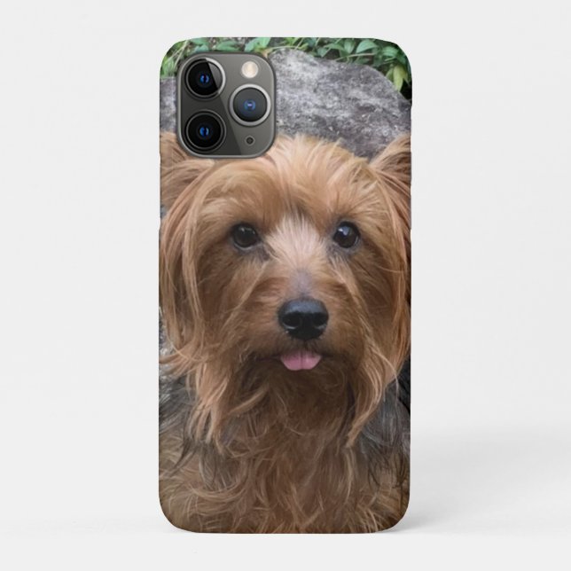 Capa Para iPhone 11 Pro Crie o seu próprio Pet Personalizado de Fotografia (Verso)