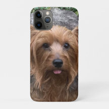 Crie Seu Próprio Cão Foto Personalizada Pet Puppy 