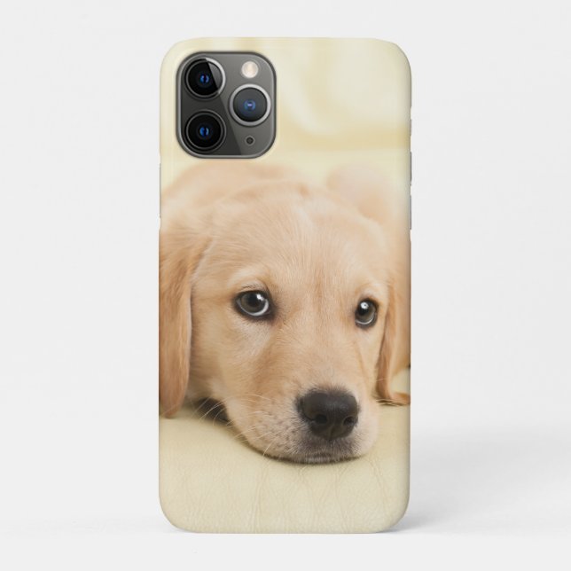 Capa Para iPhone 11 Pro Crie Sua Própria Foto Personalizada de Animal de E (Verso)