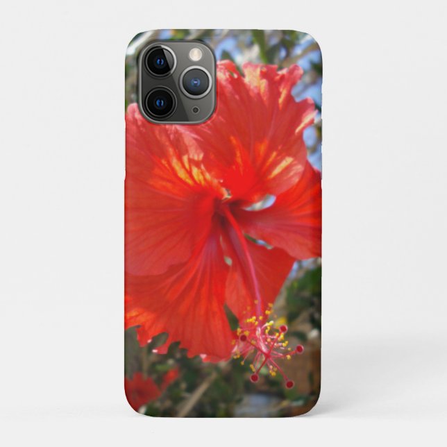 Capa Para iPhone 11 Pro "Crimson Grace: Red Hibiscus Blooming em uma árvor (Verso)