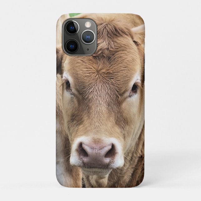 CAPA PARA iPhone 11 PRO CUTE CALF (Verso)