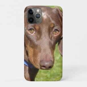 Capa Para iPhone 11 Pro Dachshund 