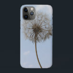 Capa Para iPhone 11 Pro Dandelion sob o céu Primavera<br><div class="desc">Dandelion sob o céu Primavera. Imagem maravilhosa inspirada no S4.</div>