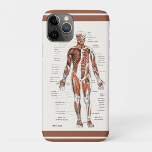 Capa Para iPhone 11 Pro Diagrama do Sistema Circulatório Muscular Vintage