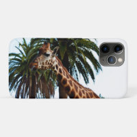 Engraçado Girafa Dando Um Framboesa,