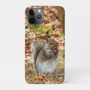 Capa Para iPhone 11 Pro Esquilo famoso