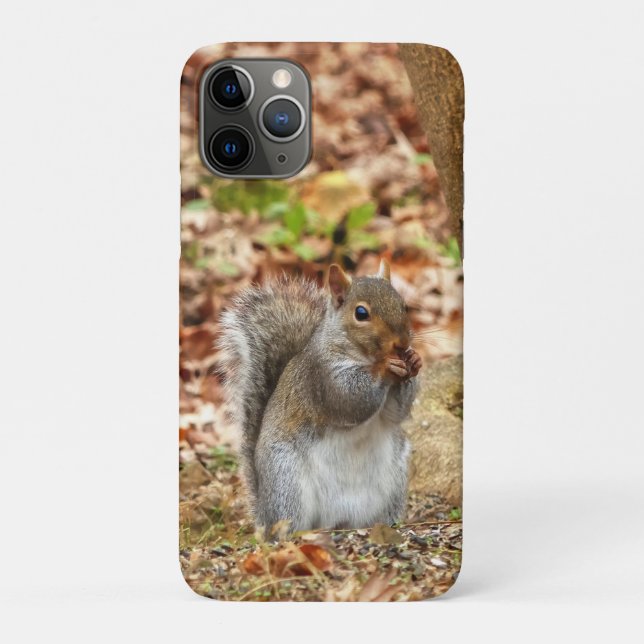 Capa Para iPhone 11 Pro Esquilo famoso (Verso)