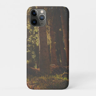 Capa Para iPhone 11 Pro Floresta
