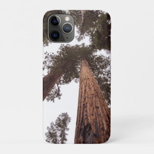 Capa Para iPhone 11 Pro floresta, árvore