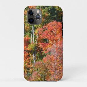 Capa Para iPhone 11 Pro Fotografia Colorida da Natureza de Outono na Encos