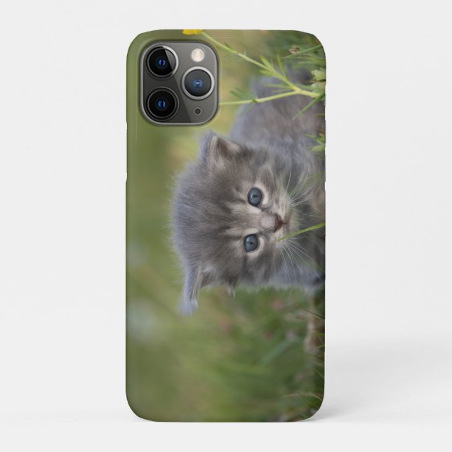 Capa Para iPhone 11 Pro Gatinho Fofo Personalizado (Verso)