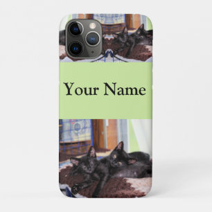 Capa Para iPhone 11 Pro Gatinhos