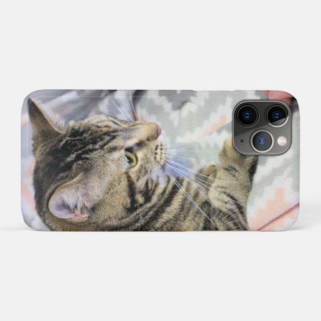 Capa Para iPhone 11 Pro Gato (Verso (horizontal))