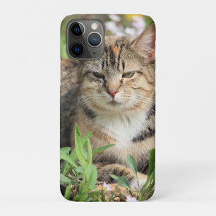 Capa Para iPhone 11 Pro Gato
